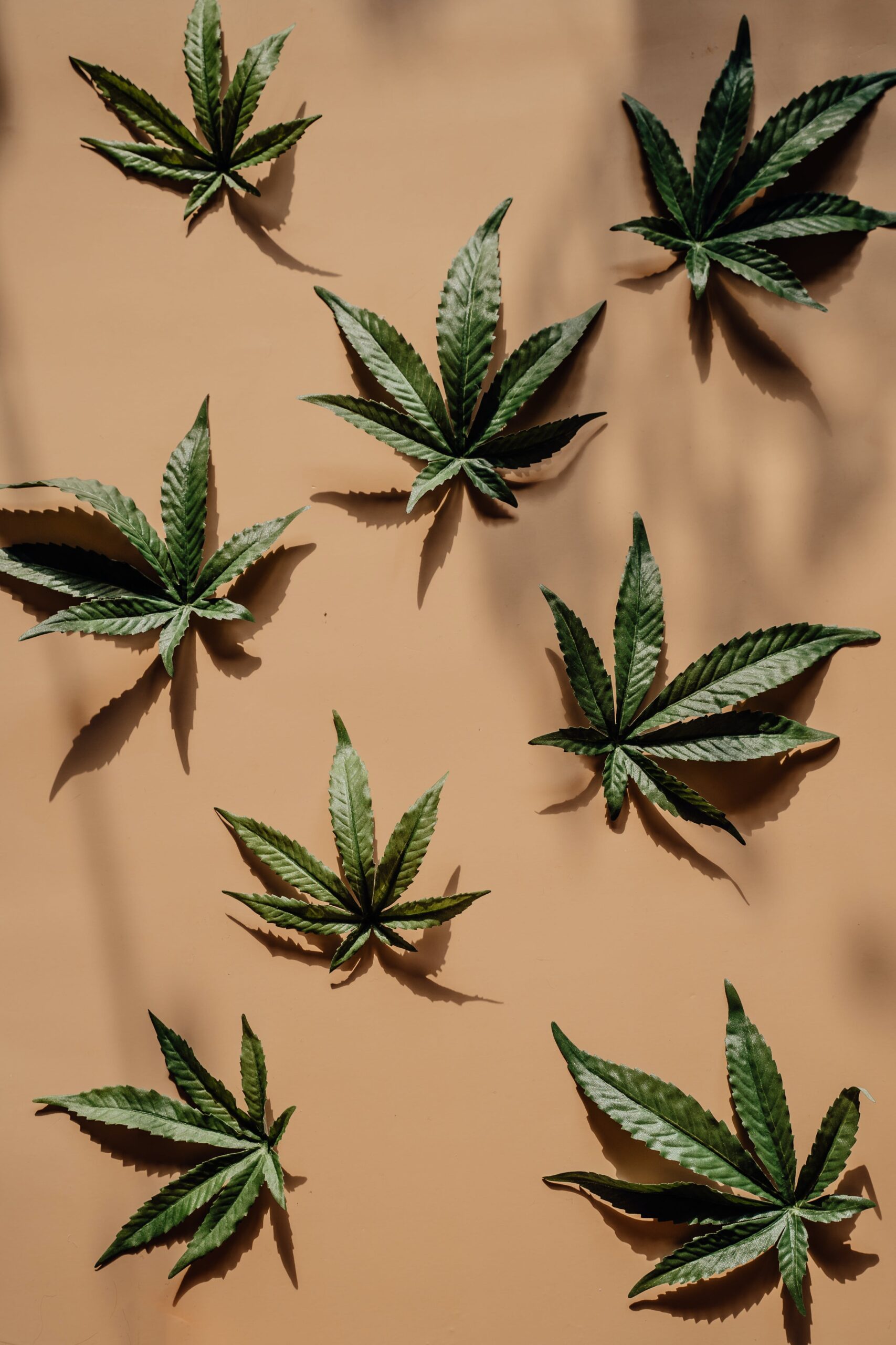 How To Navigate Zoning Regulations For A Cannabis Business In California.
